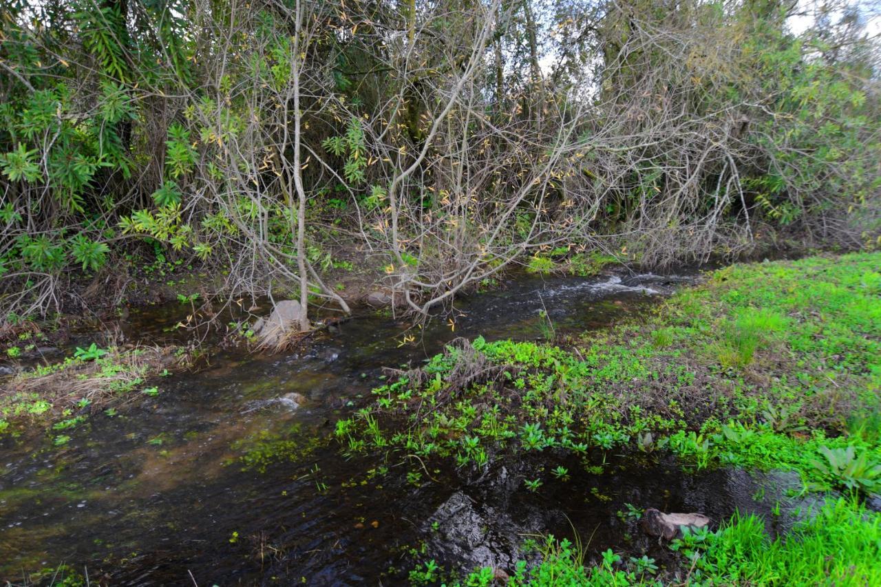 Moinho Da Capela Villa Campo Maior Dış mekan fotoğraf