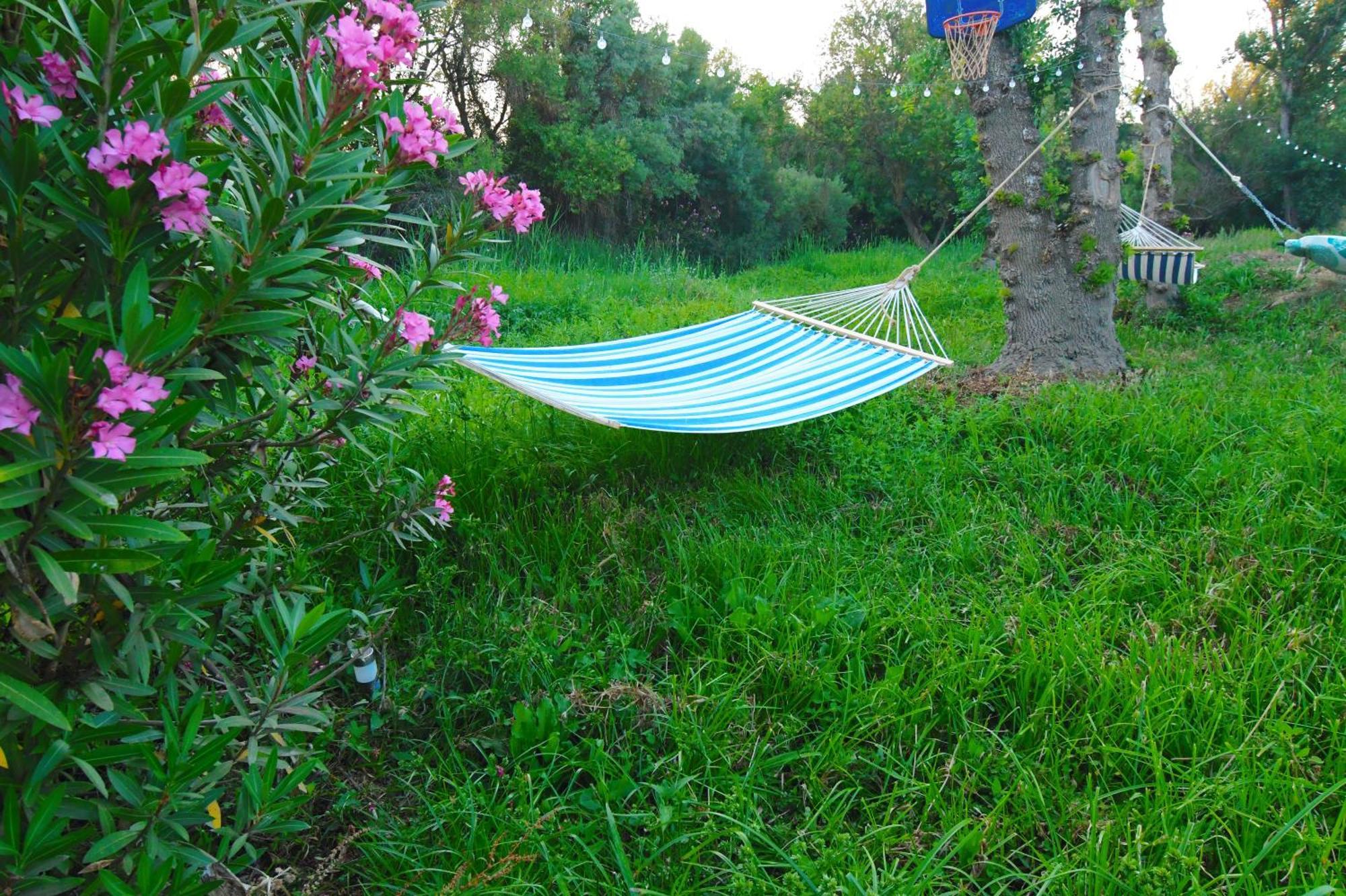 Moinho Da Capela Villa Campo Maior Dış mekan fotoğraf