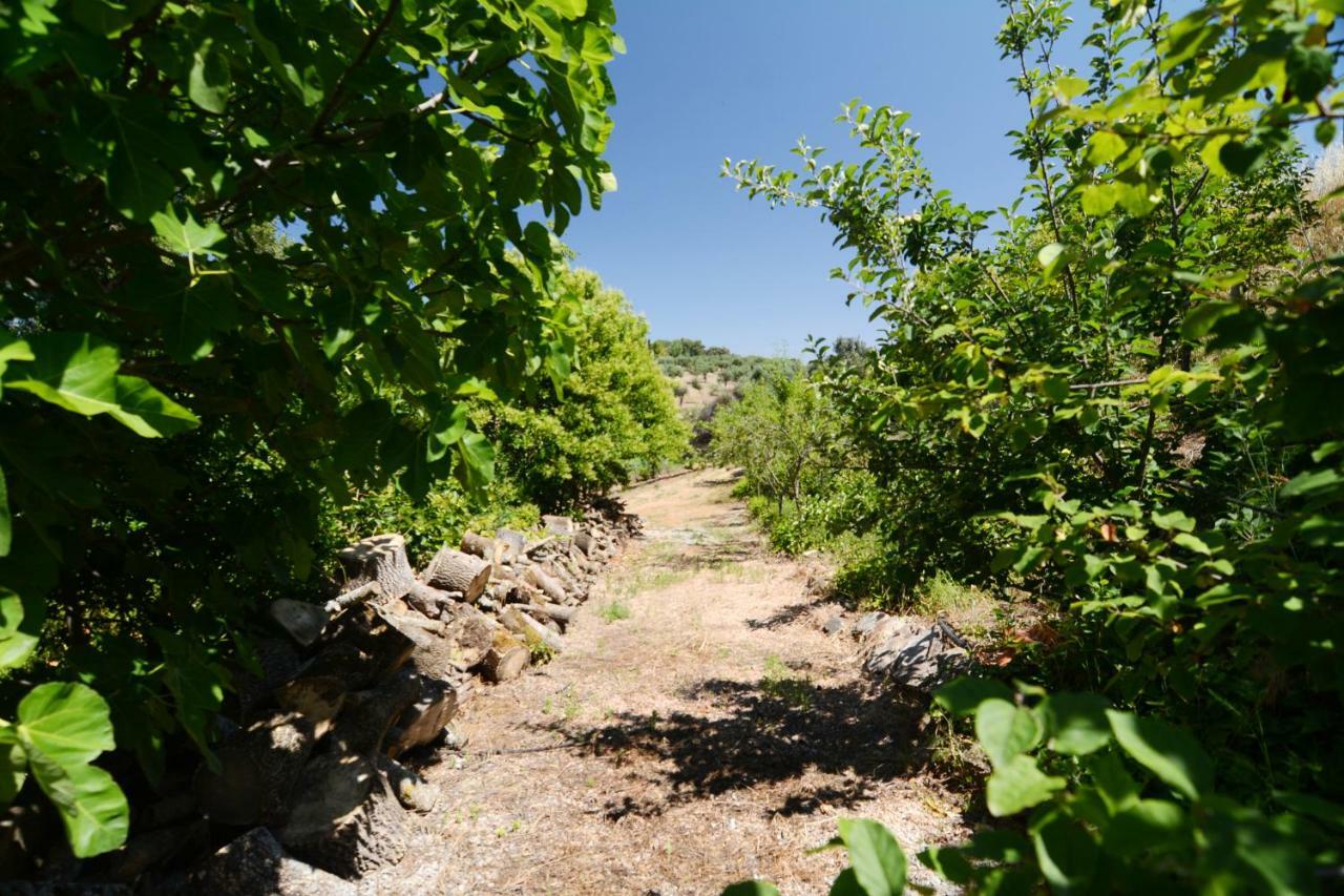 Moinho Da Capela Villa Campo Maior Dış mekan fotoğraf
